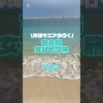 2023年 ＼沖縄マニアが行く／宮古島女ひとり旅Day3#shorts#宮古島#ひとり旅