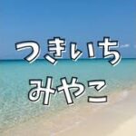 2023年 沖縄県宮古島より流れ星ライブ　Meteor shower in Miyakojima,OKINAWA｜南西向き