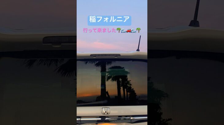 素敵じゃないか♪NBOXで稲フォルニアに行ってきました。#nbox #茨城#稲フォルニア#観光