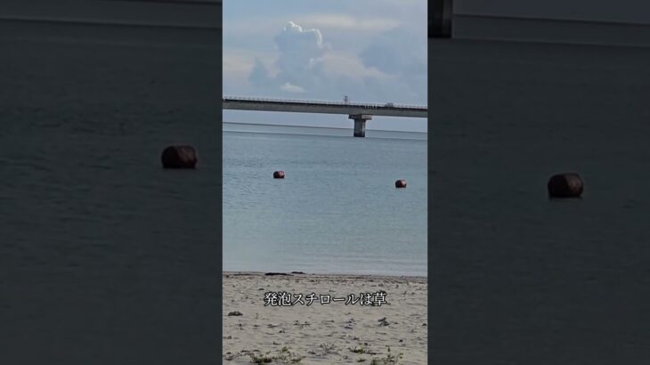 2023年 発泡スチロールは草#OKINAWA #宮古島#発泡スチロール#違います