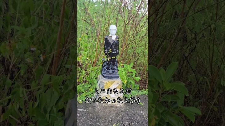 2023年 君に会いたかったよ…#OKINAWA #宮古島#沖縄#伊良部島#まもる君#ミニサイズ#会えたね