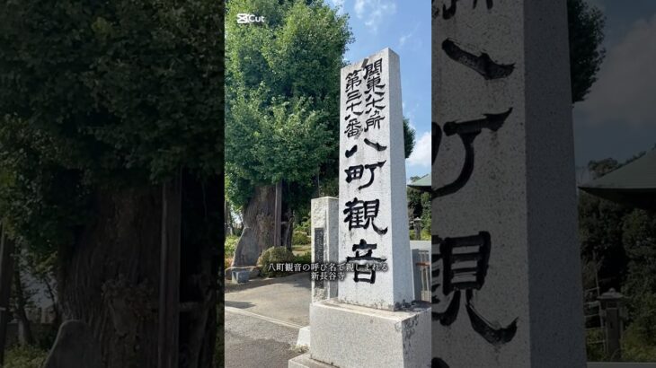 【いいとこ@やちよまち】八町観音 新長谷寺【茨城県八千代町PRショート動画その37】