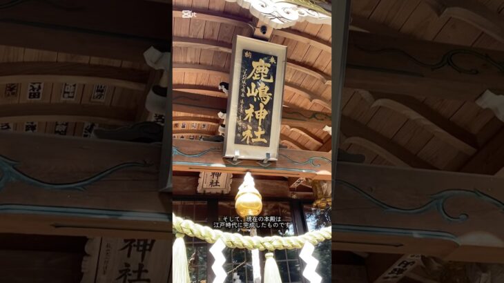 【いいとこ@やちよまち】鹿嶋神社【茨城県八千代町PRショート動画その39】