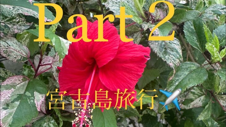 2023年 宮古島旅行　Part２　