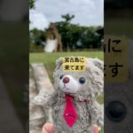 2023年 Q宮古島にはシーサーの公園がいくつあるか知ってますか？　シーサーの公園を巡ります
