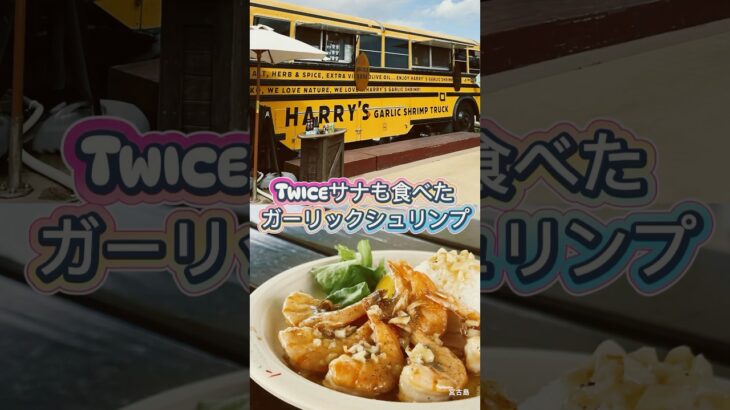 2023年 【宮古島/ハリーズシュリンプトラック】TWICEのサナちゃんも食べにきてる有名店🦐ガーリックシュリンプはホントに美味しい😋