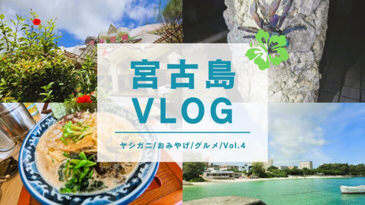 2023年 【宮古島旅行】【旅Vlog】5泊６日宮古島旅行④　ヤシガニ探検ナイトツアー編