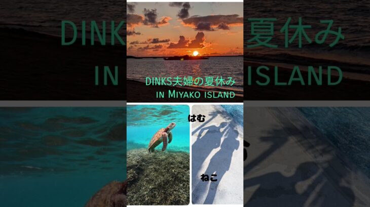 2023年 #dinks #夏休み #宮古島 #お金の管理