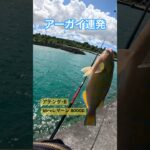 2023年 【フカセでアーガイ】#カーエー #釣り #fish #フカセ釣り #アウトドア #タマン #ロウニンアジ #宮古島 #沖縄釣り #shimano #daiwa #fishing #がまかつ#打ち込み