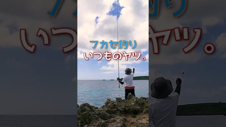 2023年 ド定番 #釣り #fishing  #釣フカセ釣り #宮古島
