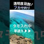 2023年 またいらぶちぃ〜#fishing #ふかせ釣り #宮古島
