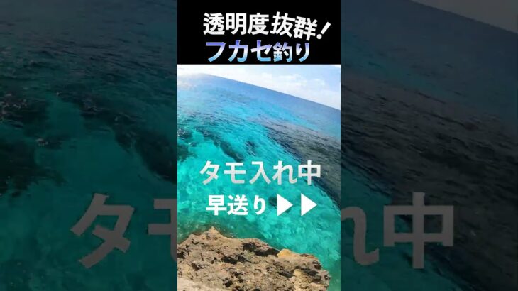 2023年 またいらぶちぃ〜#fishing #ふかせ釣り #宮古島