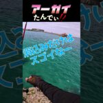 2023年 あっがいたんでぃ①…#釣り #fishing #ふかせ釣り #宮古島
