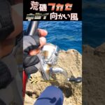 2023年 荒磯！向かい風！！ブダイ界隈！！！#釣り #fishing #ふかせ釣り #宮古島