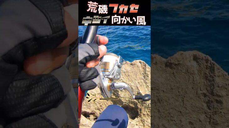 2023年 荒磯！向かい風！！ブダイ界隈！！！#釣り #fishing #ふかせ釣り #宮古島