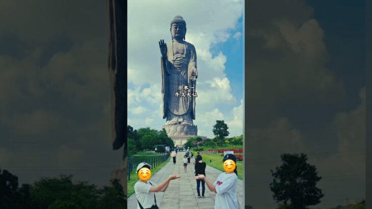 想像より遥かにデカかった#shorts #観光 #仏像#大仏