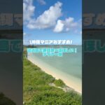 2023年 ＼沖縄マニアおすすめ／宮古島ディナー編#shorts#宮古島グルメ#宮古島
