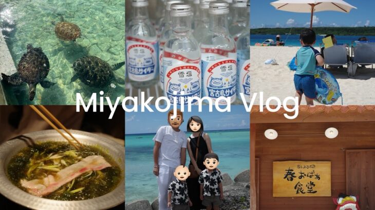 2023年 trip.  宮古島旅行🌺✈️ おすすめのグルメ,お土産屋,カフェウミガメのいるホテル🐢 マルジェラが半額以下🥹