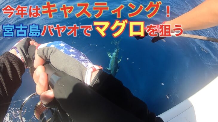 2023年 宮古島パヤオキャスティング