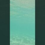 2023年 宮古島　渡口の浜