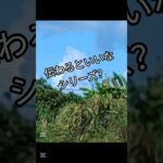 2023年 伝わるといいな#沖縄 #宮古島 #雲#クイズ#空