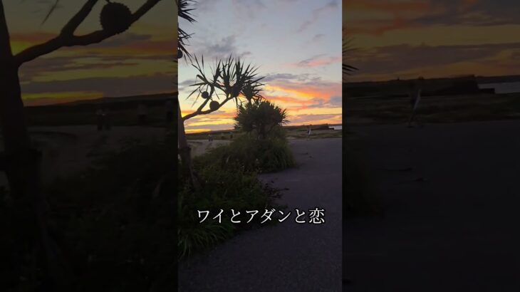 2023年 ワイとアダンと恋#沖縄#宮古島#アダン#ビーチ#海