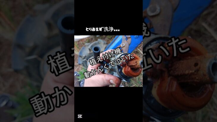 2023年 植え付け機動かんくて泣いた#宮古島 #沖縄 #ナウエルナナ#キャブ洗浄#芋植え付け機#川崎