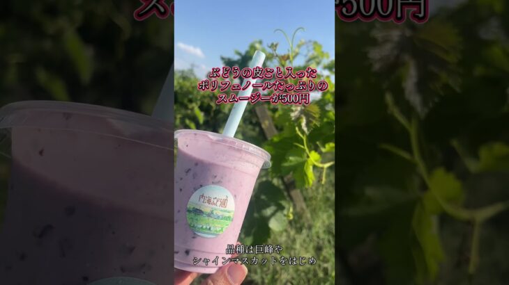 【甘い❗️安い❗️採りたてぶどう🍇食べ放題　大平ぶどう団地　栃木県栃木市】 #栃木県 #栃木観光 #ぶどう狩り