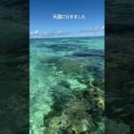 2023年 僕は天国に行きました #ショート #宮古島 #沖縄 #自由 #時間