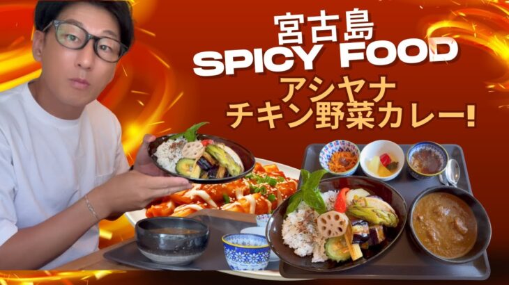 2023年 こんにちは、おがもログのおがもです。　　　　　　　　　　　　　　　　宮古島・アシヤナの絶品チキン野菜カレーを食べてみた！🍛