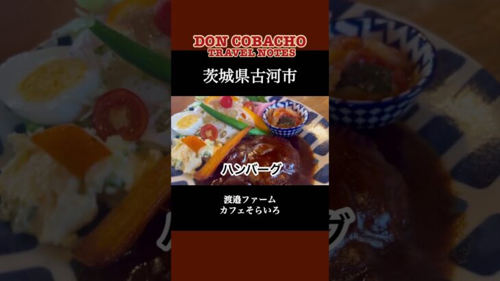 【渡邉ファーム・カフェそらいろ】茨城県古河市