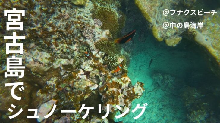 2023年 宮古島でシュノーケリングしたときのやつ（フナクスビーチ・中の島海岸）