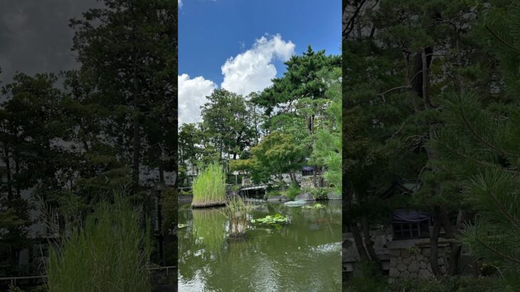#おすすめ ＃景色＃城＃お地蔵さん#桟橋#橋#池#魚 #恋＃茨城県