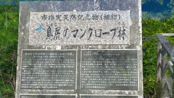 2023年 【宮古島】島尻マングローブ