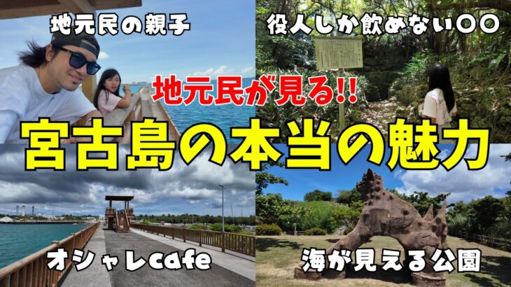 2023年 【宮古島】役人しか飲めない○○があった。🌴地元民親子が島の本当の魅力を探ります🌴
