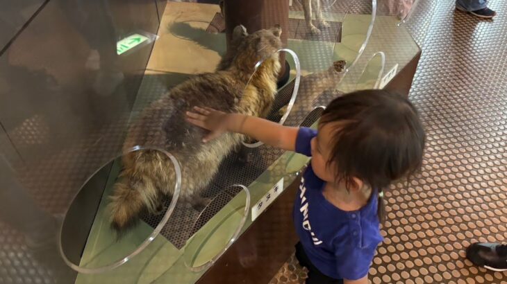 ミュージアムパーク茨城県自然博物館で恐竜やマンモスを見てきたよ。水遊びもしたよ。