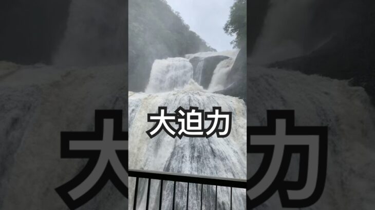 台風の次の日の滝 #大自然 #茨城県 #袋田の滝