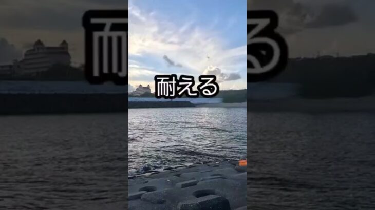 2023年 台風接近、怒涛の入れ食い！カンムリベラゲット！#宮古島 #釣り #セカンドライフ #トライアスロン
