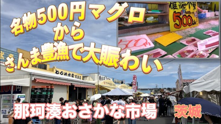 【茨城県那珂湊】旬の魚が勢揃い｜八百屋でカットフルーツやシャインマスカットが大人気