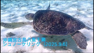 2023年 沖縄宮古島 八重干瀬 シュノーケリング
