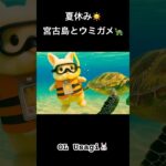 2023年 夏休みには宮古島へ　☀️まさかのウミガメに遭遇