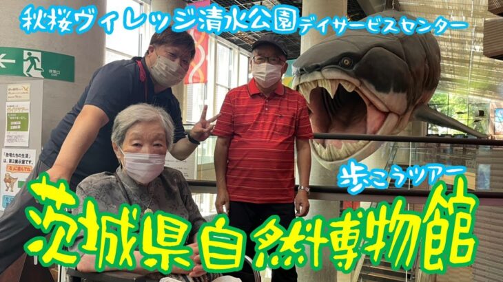 秋桜ヴィレッジ清水公園デイサービスセンター　歩こうツアー　茨城県自然博物館編