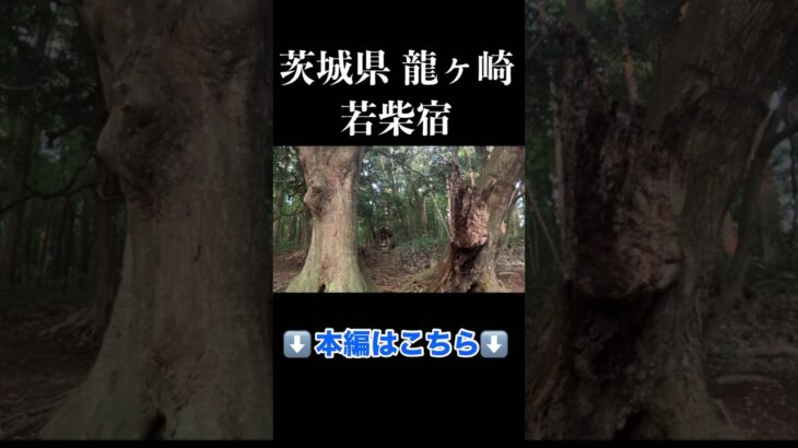 江戸の面影を残す街道・町並み。茨城県龍ヶ崎市　若柴宿　#茨城県龍ヶ崎#若柴宿 #水戸街道