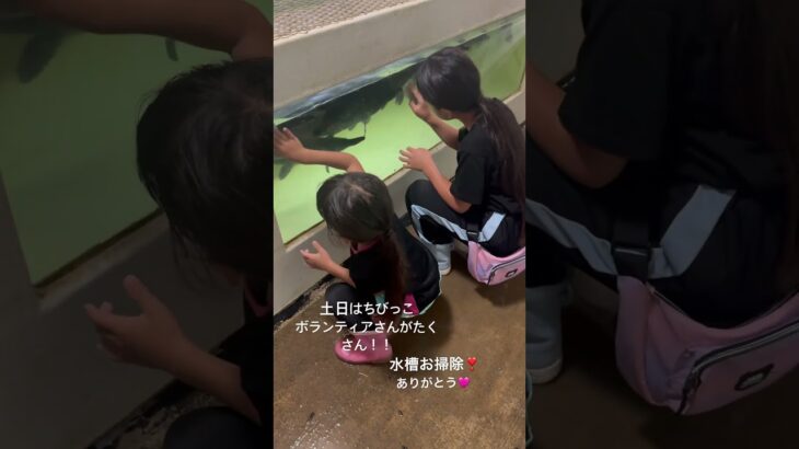 2023年 ちびっこボランティア大活躍✨