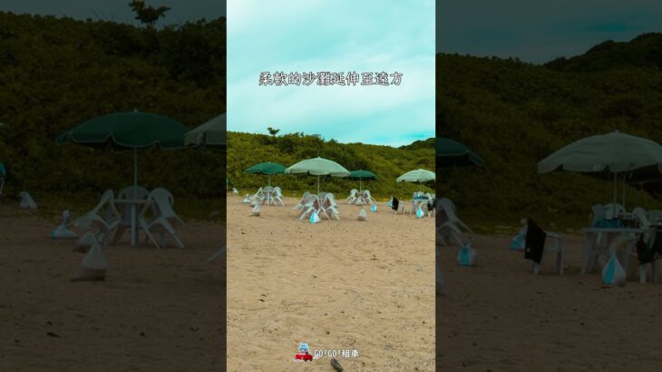 2023年 與海龜共游的浮潛天堂—新城海岸