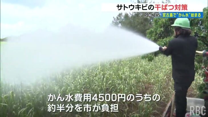2023年 少雨傾向続く沖縄・宮古島　サトウキビの干ばつ対策でかん水作業始まる