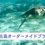 2023年 心から満喫♪宮古島オーダーメイドプラン
