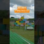 2023年 宮古島のヤギピラミッド　面白い風景　やぎちゃん　かわいい　しろう農園カフェ　沖縄　観光　旅行　vlog 日常　裏側　動物園　映え動画　インスタ映え　ビーリアル　頂点　おもしろ動画　癒される　天才すごい