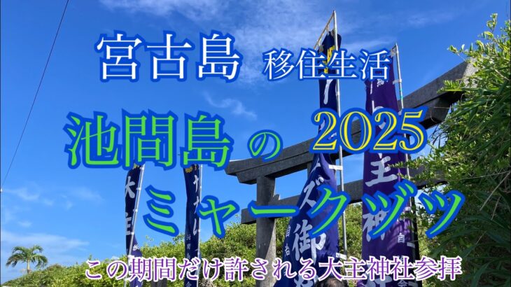 2023年 【vlog】宮古島移住生活🏝️ミャークヅツ2025🍶大好きなウハルズ御嶽⛩️
