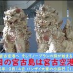 2023年 那覇空港から宮古空港へ　そしてノープランの旅が始まる　バイクで放浪【2回目の宮古島は宮古空港着陸】2025年10月14日 バンザイ大家の小旅行 【1日目】